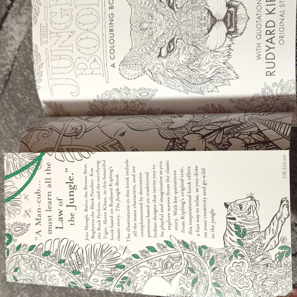 The Jungle Book colouring book new - Picture 10 of 14
